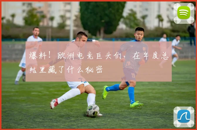 爆料！欧洲电竞巨头们，在年度总结里藏了什么秘密