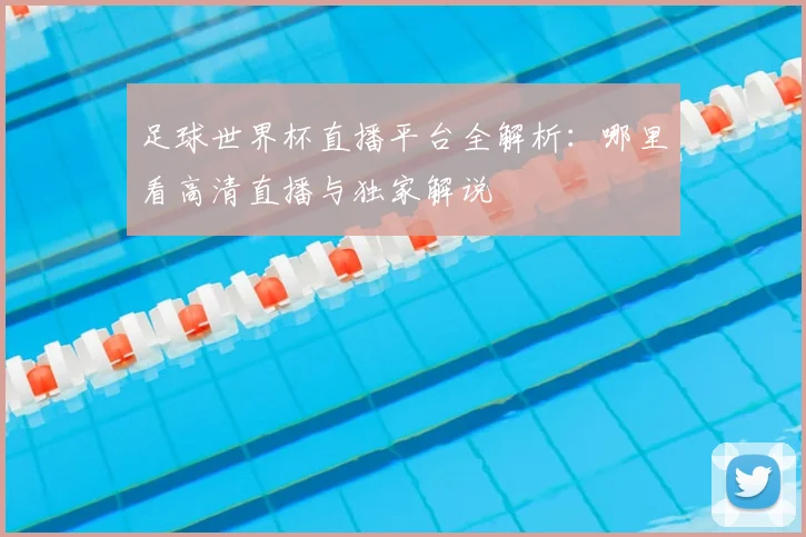 足球世界杯直播平台全解析:哪里看高清直播与独家解说