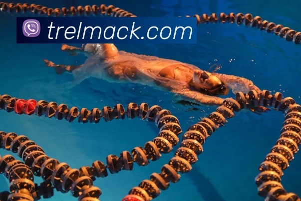 世界杯官网品牌故事